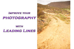 leading lines photography lesson