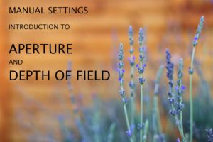 introduction to aperture and depth of field