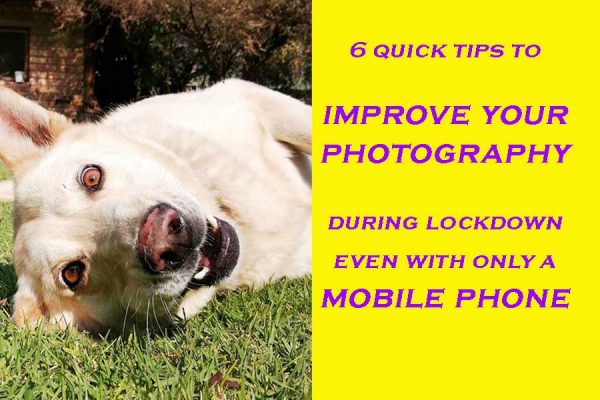 6 tips to improve your photography